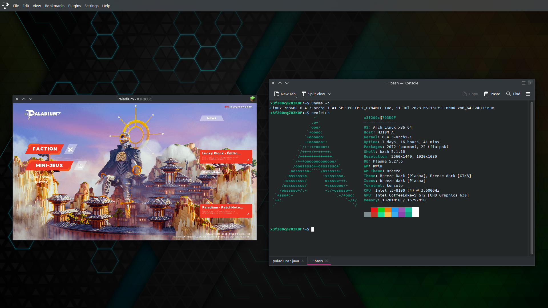 A screenshot of Paladium running on (Arch) Linux. 